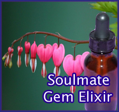 SoulMate Love Gem Elixir