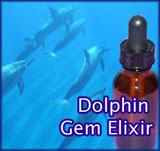 Dolphin Gem Elixir