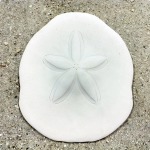 SandDollar